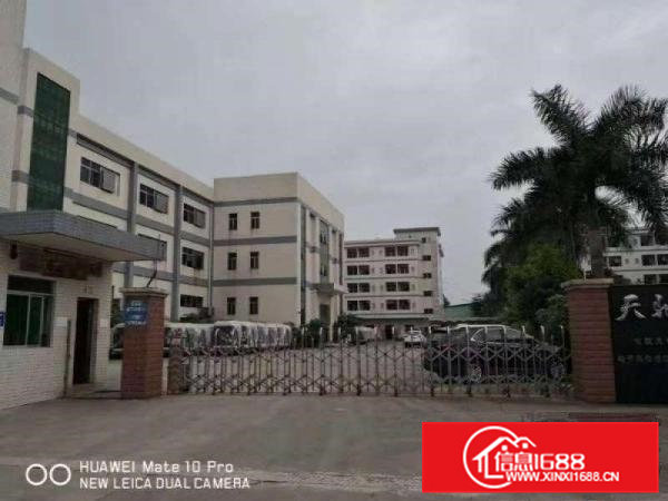 大朗松木山新出高新园区一二楼共2400方，可分租