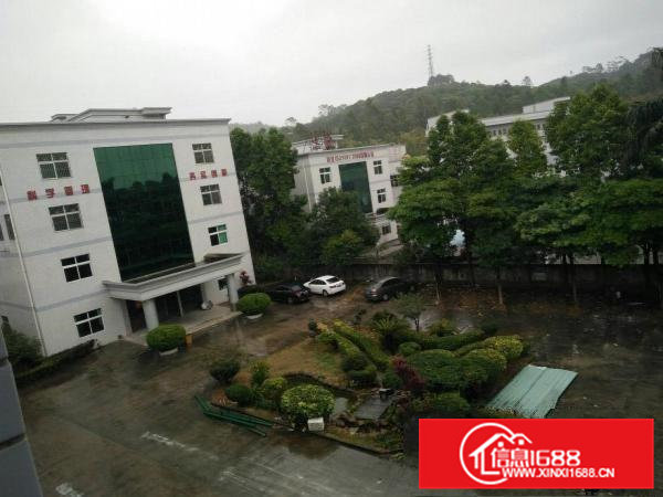 （靓盘）清溪三中新出楼上厂房1500平方出租形象好