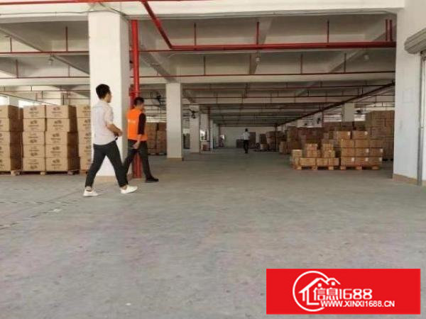福永新和一楼厂房出租1500平，有房产证，可分租