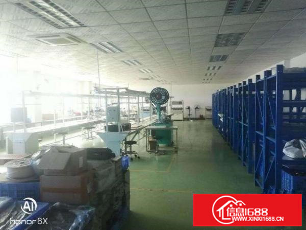 横沥带现成办公室厂房出租面积1600平方