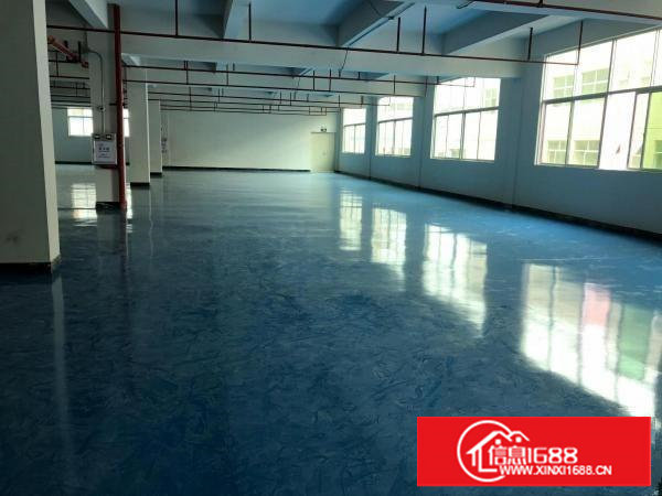 靠深圳3楼1300平！全新装修无公摊只租15