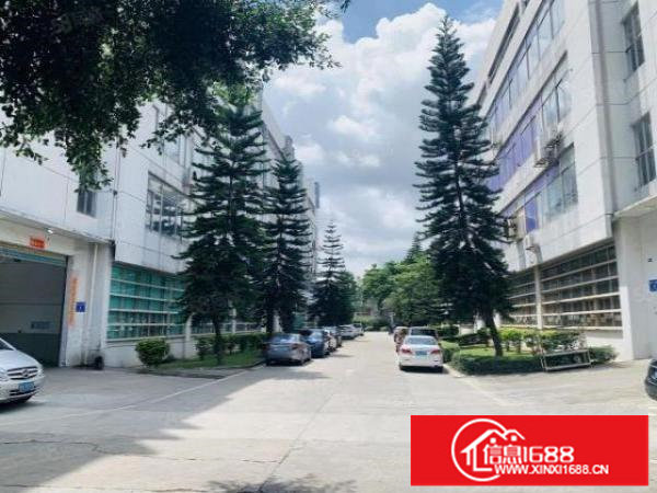 松元新出楼上精装修厂房695平，无转让费，行业不限