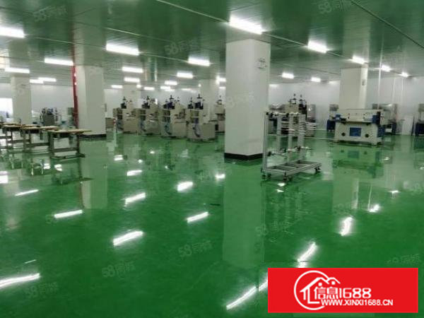 大朗原房东4500平无尘车间厂房招租！水电齐全，带办公室精装