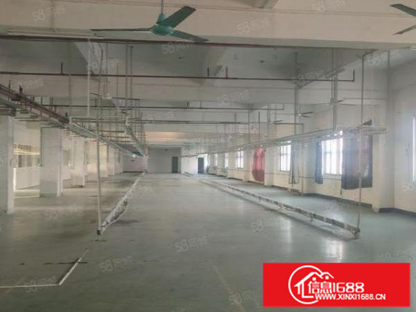 楼上可分租常平新出红本厂房水电齐全交通便利停车位充足
