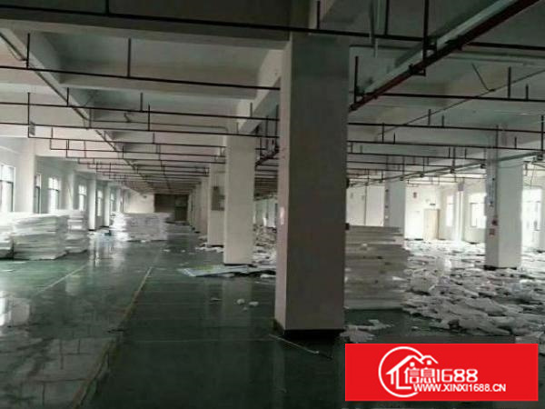 沙井芙蓉二楼1000平三楼700平村委厂房直租