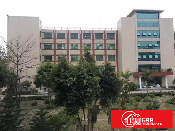 坪地精品独院4800平米火热招租