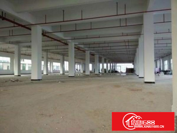 潼湖附近大型工业区标准一楼厂房2800平方出租