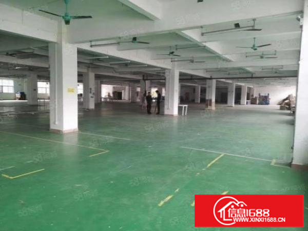 里水河村楼层每层2000方租12元可500方起分租好招工好