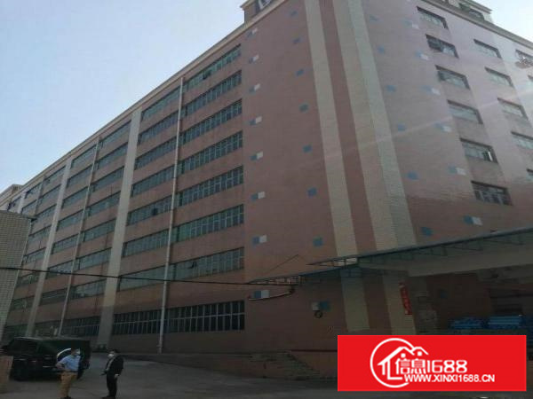 原房东独门独院厂房出租