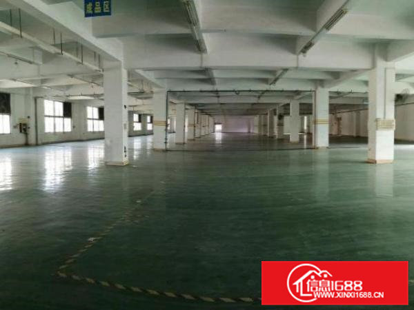 寮步新出楼上900平米