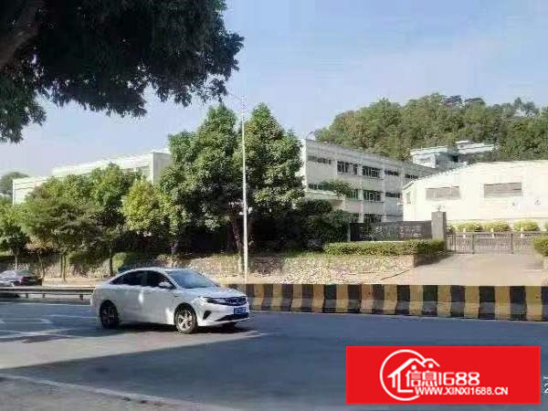 凤岗原房东实际面积出租20000平方