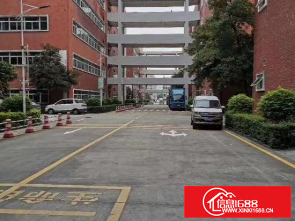 大浪新百丽原房东红本工业区2800到15000平厂房出租