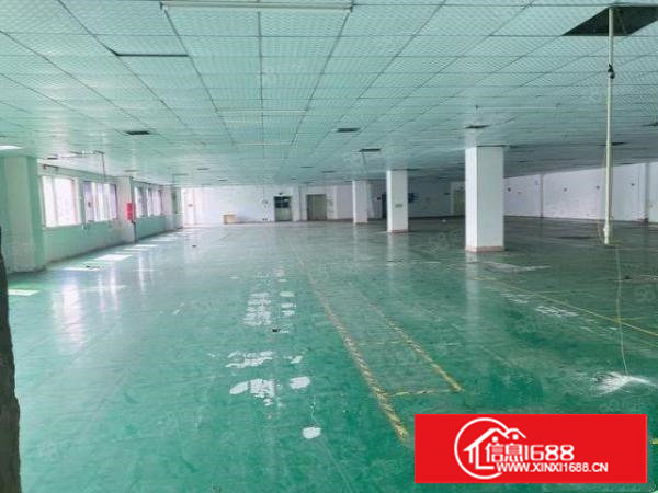 长安厦岗福海路独门独院厂房大小分租