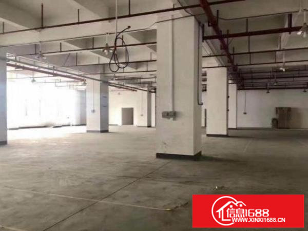 光明楼村社区原房东分租一楼1200平无公摊