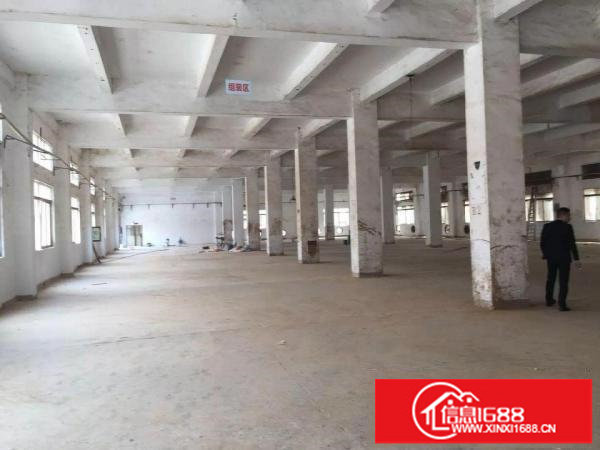 龙岗宝龙新出独院厂房12500平方火爆招租