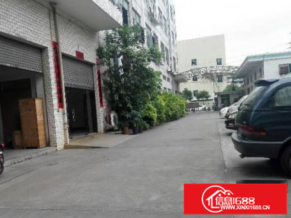 横沥田饶步新出楼上厂房1000平现火热招租中