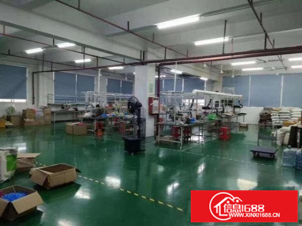 凤岗靠近深圳龙岗带装修厂房出租楼上600平米拎包入住水电齐