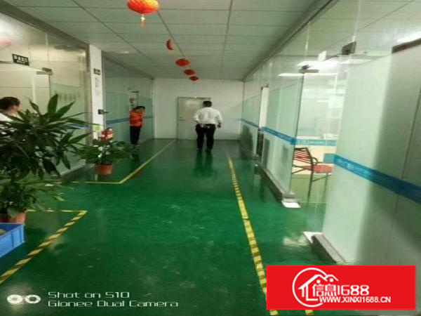 坪山新出1200平带装修厂房