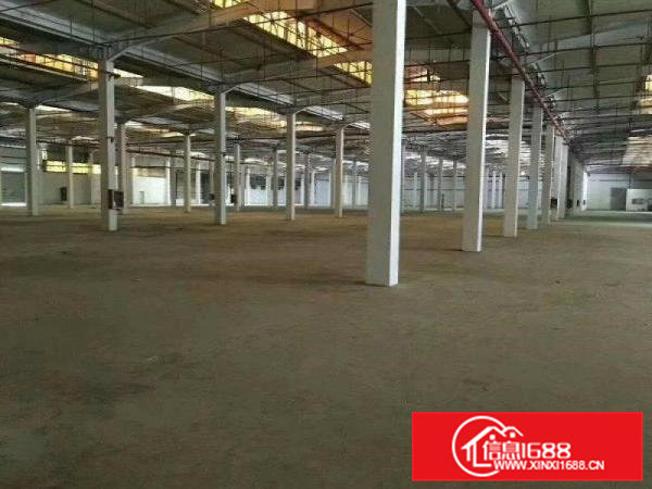 常平袁山贝原房东钢构厂房2800平方（可分租）