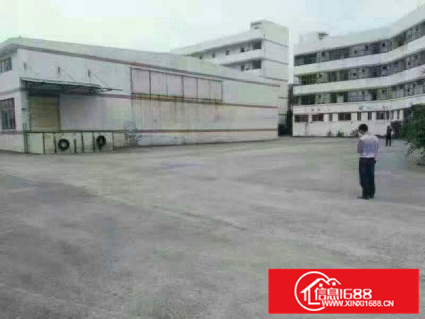 惠阳秋长西湖原房东钢构厂房5000平米，11元招租