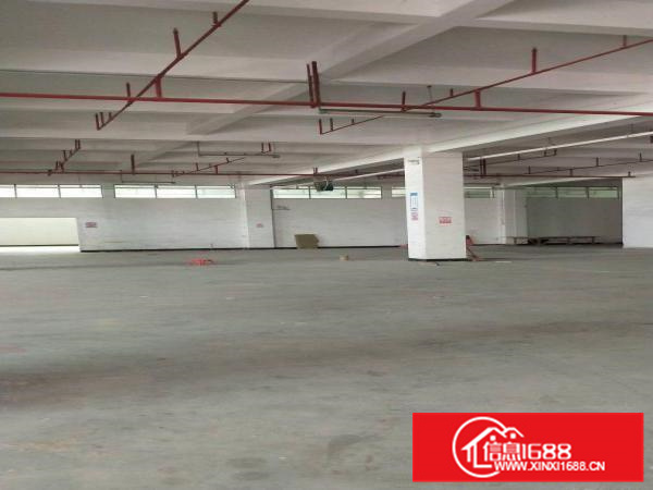 马安1楼1400平米标准工业园厂房出租