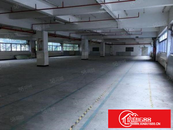 南岭科创园楼上780;1380平米电商办公仓库出租