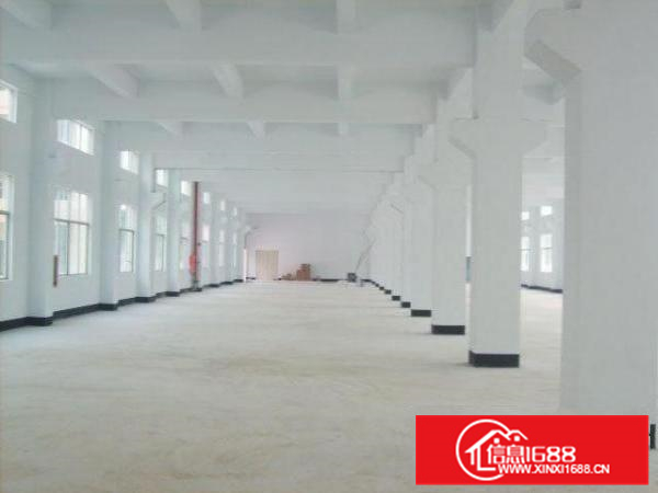 丹灶一到三层全新标准厂房4200方出租，可分租