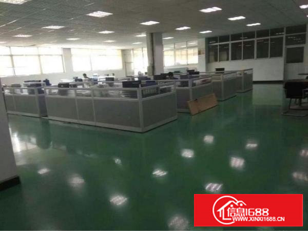 塘厦凤岗1500平豪华装修无公摊厂房出租