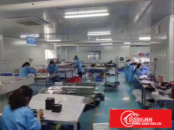 出租石排镇黄家壆厂房一楼700平米口罩！形象靓