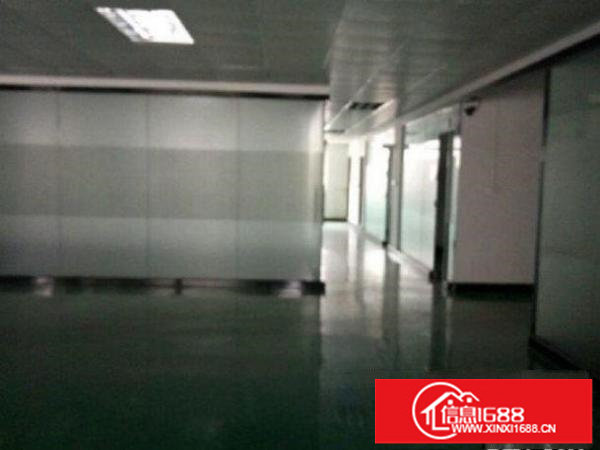 龙岗同乐有红本950平和1250平全新精装修，租1