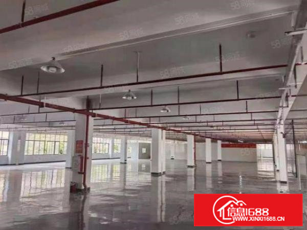 清溪近塘厦高速出口新出高大上厂房一整层现成豪华装修5600平