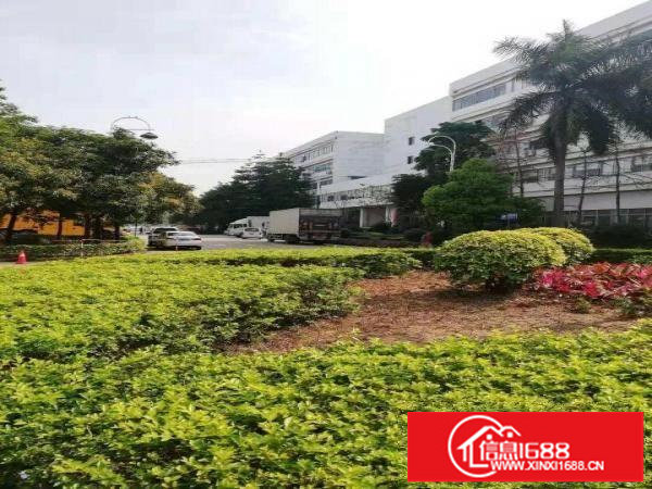 深汕路边全新厂房楼上580平方带装修水电拎包入住