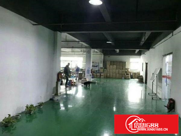 凤岗油甘埔3楼800平米厂房出租带办公室装修