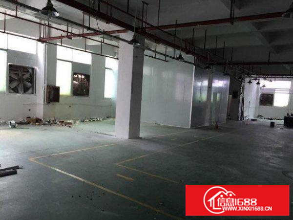 龙岗区浪背一楼500平米厂房出租