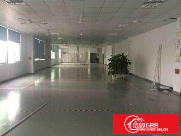 坂田杨美五和地铁办公室40到350平出租