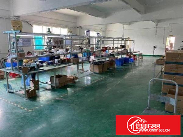 企石博夏村楼上580平米精装修厂房出租