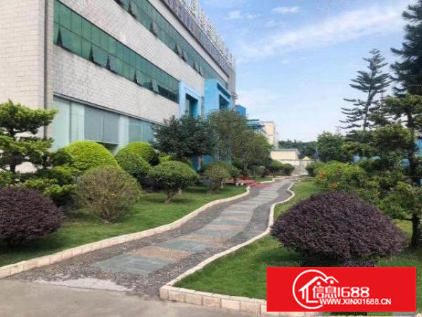 原房东花园式独院厂房11406平，一楼高度7.5米带牛角