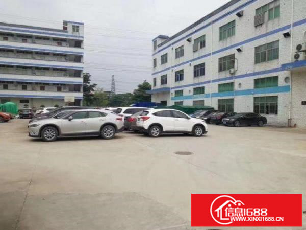 油松工业区楼上单层1200平厂房出租可分租