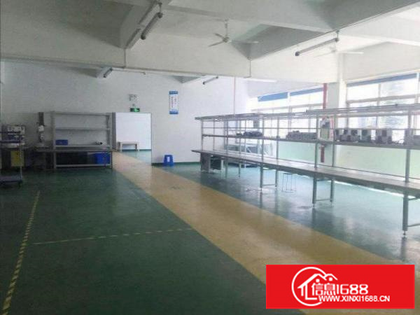 龙岗龙东厂房出租300平450平780平厂房