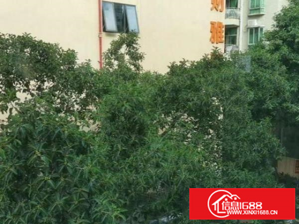 一手厂房（1楼）出租，宿舍配套齐全