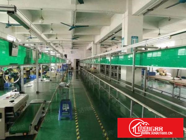 清溪三中2000平方厂房出租11元全新车间办公室装修拎包入住