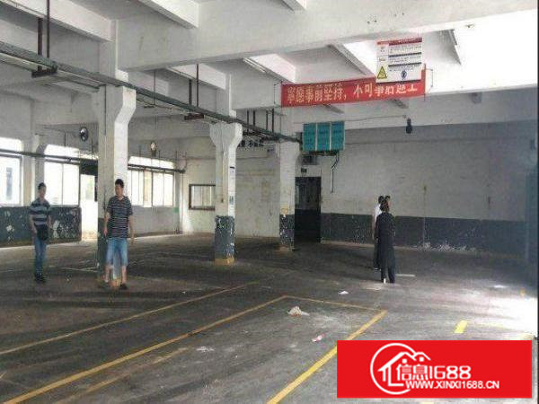 出租龙岗区爱联适合工厂分租1500平方米厂房