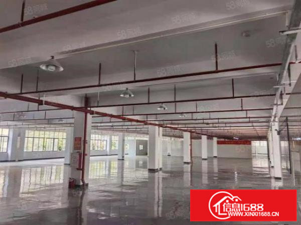 清溪近塘厦高速出口新出高大上厂房一整层现成豪华装修5600平