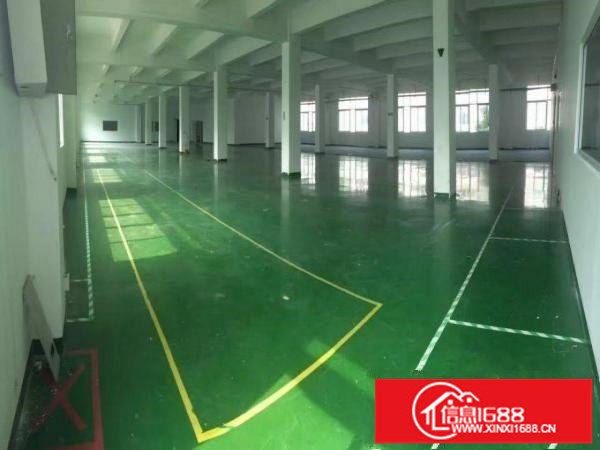 横岗大康独院厂房5000平方可分租带办公室装修地坪漆