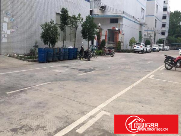 秋长原房东标准一楼1000平出租带办公精装消防喷淋