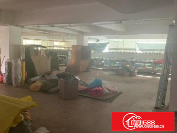 【房东直租】同乐一路仓库厂房整栋价优招租装修好带电梯