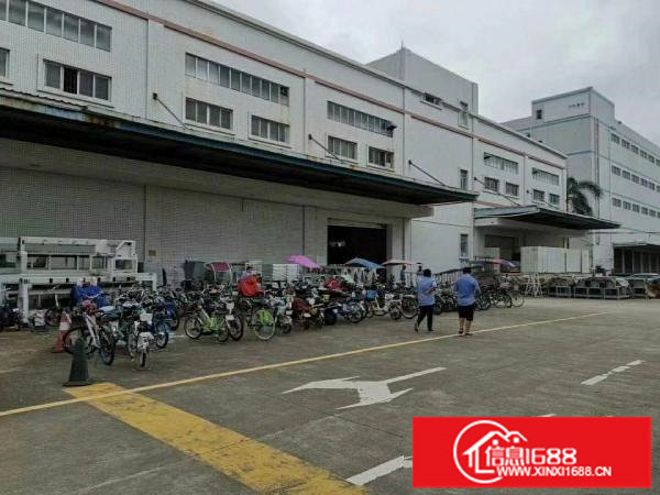 龙岗高新区原房东独院厂房出租厂房12层12000平红本面积