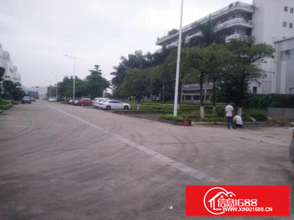 沥林高速出口原房东钢构厂房3000平租带牛腿