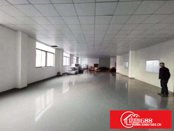 出租清溪镇三中新出原房东独院3500平方实际面积