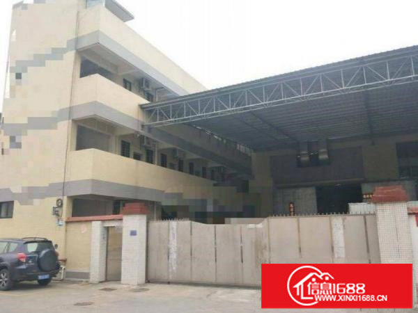 平湖经典小独门独院1500平可分租用电大